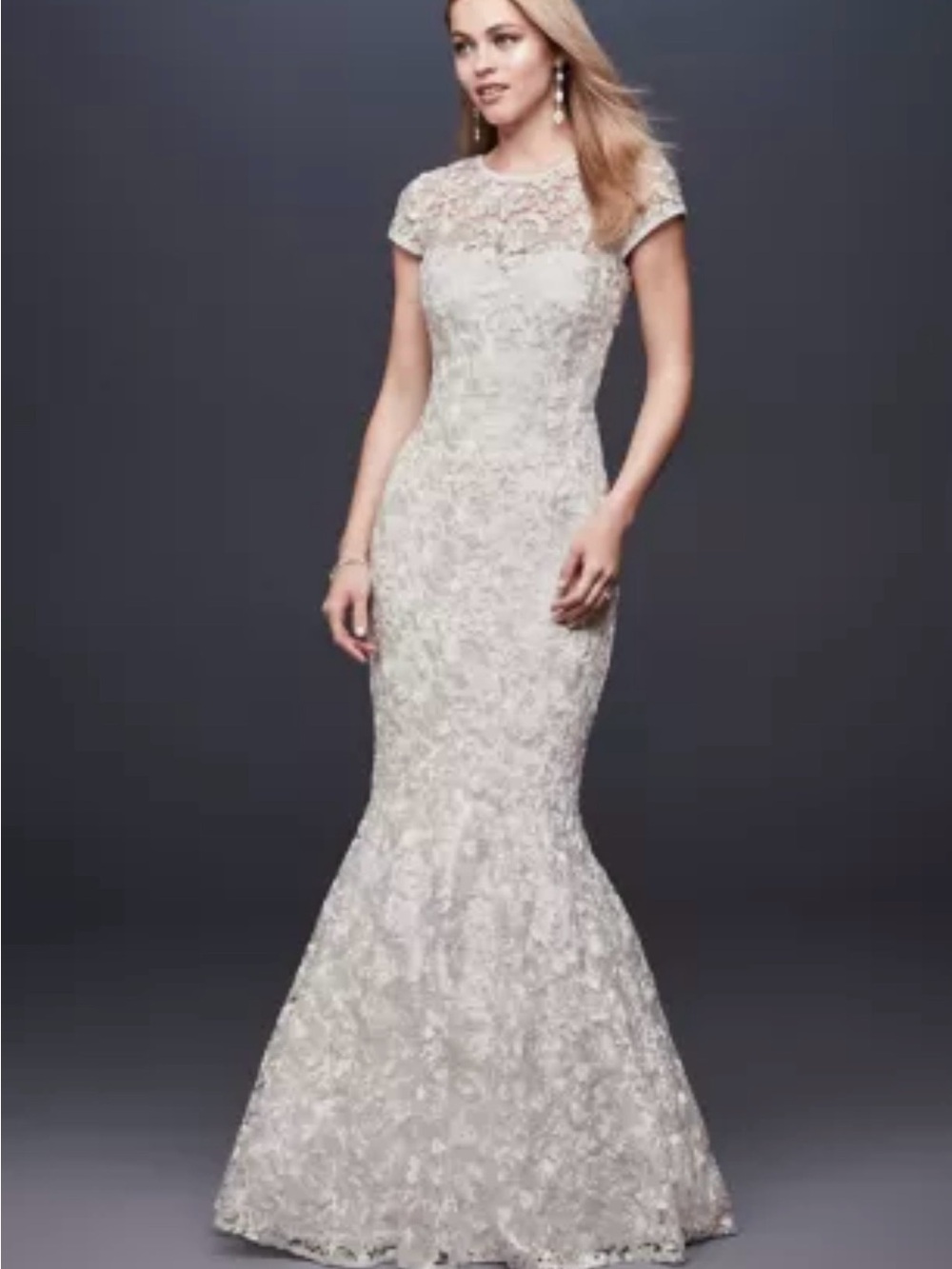 David's Bridal Ivory Lace Cap-Sleeve Wedding Dress - Picture 2 of 2